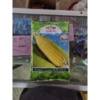 ราคา เมล็ดข้าวโพด หวาน จัมโบ้สวีท F1ขนาด 1 กิโลกรัม เมล็ดข้าวโพดหวาน ตราศรแดง (45854872207)
