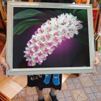 ราคา กรอบรูปภาพมงคล ดอกไม้ ติดบ้าน ร้านค้า ของขวัญปีใหม่ ขึ้นบ้านใหม่ เปิดร้านใหม่ ของที่ระลึก (18980534543)