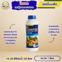 ราคา โอตาด ขนาด 1 ลิตร กระตุ้นการแตกตาดอก เพิ่มปริมาณดอก ลดการหลุดร่วงและขยายผล กระตุ้นระบบราก ฟื้นต้น (52556043322)