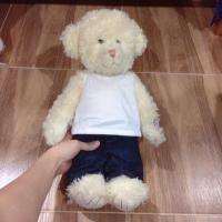 ราคา ตุ๊กตาหมี Teddy bear มือสอง (813519277)