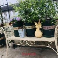 ราคา Sunflowe-เก้าอี้เหล็กดัด เก้าอี้สวนสไตล์วินเทจ ม้านั่ง ระเบียงบ้าน ห้องนั่งเล่น โต๊ะและเก้าอี้กลางแจ้ง ม้านั่งยาว (45162872226)