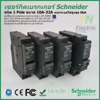 ราคา Breaker เซอร์กิตเบรกเกอร์ ลูกย่อย Schneider 1 Pole 10A-32A Circuit Breaker Schneider 1 Pole 10A-32A QO110-132VSC6T (23236376608)