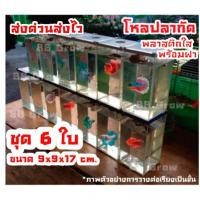 ราคา โหลเลี้ยงปลากัด ชุด6ใบ โหลปลาพลาสติกใสพร้อมฝา ตู้ปลากัด เรียงต่อซ้อนเป็นชั้นได้ ขนาด9x9x17cm (2695642708)