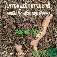 ราคา ใบก้ามปูหมัก#ใบก้ามปู 100% หมักธรรมชาติ ไม่ผสมดิน#ปุ๋ยหมักใบก้ามปู (27807606900)