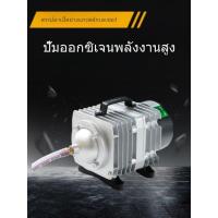 ราคา ปั๊มเติมออกซิเจนตู้ปลา ขนาดกะทัดรัด ใช้ไฟ 220V กำลังสูง เหมาะสำหรับเลี้ยงปลาในบ้าน เติมอากาศบ่อเลี้ยงปลาทะเล ใช้ในร้านขา (46415787790)