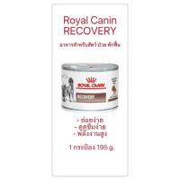 ราคา Royal Canin Recovery อาหารเปียกสำหรับสัตว์ป่วย/พักฟื้น (52357744699)