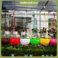 ราคา กระถางพลาสติกแบบฝาพับสําหรับแขวนบอนไซทุกสี + เชือกแขวนพลาสติกฟรี (52104028748)