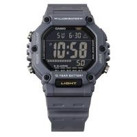 ราคา Casio Standard นาฬิกาข้อมือผู้ชาย สายเรซิน รุ่น AE-1600W-8B - สีเทา (28324862203)