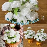 ราคา พานดอกมะลิวันแม่ (ดอกมะลิวันแม่พร้อมพานสีทอง ดอกมะลิสีขาว จัดแบบแน่นพลีเมี่ยม สวยมากจร้า ไหว้พระ ไหว้ผู้ไหญ่ วันครู (28436732816)