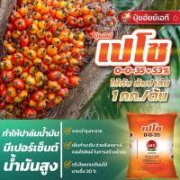 ราคา ปุ๋ยช่วยตรึงโพแทสเซียม สำหรับไม้ผล พืชไร่ ปาล์มน้ำมัน ปุ๋ยเคมี เปโซ 0-0-35 กำมะถัน 3% แบ่งขาย 2 กก และ 5 กก (40162787213)