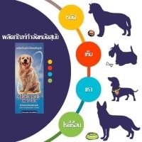 ราคา Ecto-Tak กำจัดเห็บ หมัด ไร เหา ไรขี้เรื้อน ผสมน้ำ (913906658)