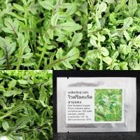 ราคา เมล็ดพันธุ์ ไวด์ ร็อคเก็ต ลายแดง (Rocket Salad) Red Streaked Arugula Seed 300 เมล็ด คุณภาพดี ของแท้ 100% (18636899088)