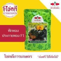 ราคา ฟักทอง ประกายทอง F1 เมล็ดพันธุ์ ฟักทอง ลูกผสม ตรา ศรแดง บรรจุ 100 กรัม (47450751662)