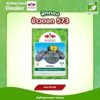 ราคา เมล็ดพันธุ์ ฟักทอง ลายข้าวตอก 573 ตราศรแดง ขนาด 20 กรัม (4043514531)