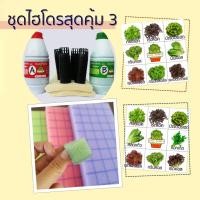 ราคา ชุดปลูกผัก สลัด ไฮโดรโปนิกส์ DIY สุดคุ้ม (Kit ใหญ่ Plus) (4441000773)