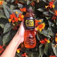 ราคา อัมพวา ชาดำเย็นโบราณ ขนาด 400 มิลลิตร [ยกแพ็ค 6 ขวด] (25544882857)