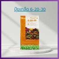 ราคา ปุ๋ยกิฟฟารีน ปุ๋ยเกล็ดโกรแม็กซ์ สูตร 6-20-30 เร่งการสร้างแป้งและน้ำตาล เร่งสี เพิ่มน้ำหนัก เพิ่มความหวาน (53211344857)