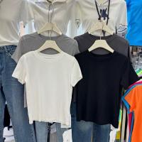 ราคา Basic T-shirt เสื้อยืดเรียบผ้า cotton ผ้านิ่ม (24236656660)