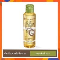 ราคา Yves Rocher อีฟโรเช Reparation Repair Hair Care Oil 150 ml (3663053239)
