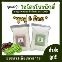 ราคา ชุดปุ๋ยเอบี **ขนาด5ลิตร** AB ปุ๋ยไฮโดรโปนิกส์ ปุ๋ยไฮโดรโปนิกส์น้ํานิ่ง ปุ๋ยผักHydroponics ปุ๋ยสารละลายเอบี (22113725835)