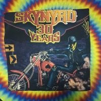 ราคา เสื้อยืดมือสอง Vintage Usa ครบรอบ 30Year วง เสื้อวง Lynyrd Skynyrd 03's Size L.อก21.5/ยาว28 (29723307968)