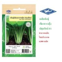 ราคา 5 แถม 1 เมล็ดพันธุ์ เขียวกวางตุ้ง ปทุมรัตน์ เจียไต๋ (6968685796)
