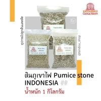 ราคา หินภูเขาไฟ หินพัมมิซ หินภูเขาไฟอินโด ปลูกต้นแคคตัส (4288638738)