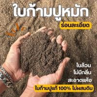 ราคา ใบก้ามปูหมักร่อนละเอียด ใบก้ามปูแท้100% ใบก้ามปูหมักธรรมชาติ ใบก้ามปูคุณภาพดี (56814975520)