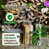 ราคา ขอนไม้สักปลูกกล้วยไม้ปลูกไม้รากอากาศจำนวน 2-10ไม้ตามลูกเลือก (27050593199)