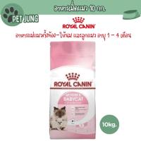 ราคา Royal Canin Mother&Baby Cat 10kg. แม่แมวตั้งท้อง-ให้นม ลูกต่ำกว่า 4 เดือน (26465457311)