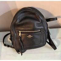 ราคา ส่งต่อ coach เป้มินิ ของแท้สภาพดี (27834161837)