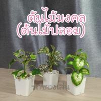 ราคา ต้นไม้ปลอม ต้นไม้มินิมอล ต้นไม้มงคล แต่งโต๊ะทำงาน แต่งบ้าน แต่งห้อง (18110355509)