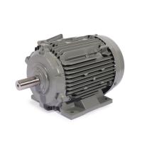 ราคา มอเตอร์ฮิตาชิ HITACHI 3 เฟส ขนาด 3 แรงม้า รุ่น 3TFO-K CE ไฟฟ้า 380V (มีของพร้อมส่ง) (23047046861)