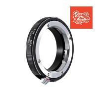 ราคา adapter k&f concept leica m to sony nex lm-nex sony (942677797)