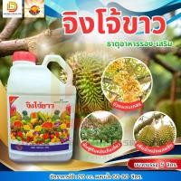 ราคา จิงโจ้ขาว แกลลอน 5 ลิตร ฮอร์โมนน้ำขาว ส่งเสริมการเจริญเติบโต ช่วยให้พืชสมบูรณ์แข็งแรง พันทิพย์ หวีทอง ตราจิงโจ้ทอง (44759857856)