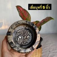 ราคา ที่เขี่ยบุหรี่ ไม้มะม่วงแท้ (ทรงกลม) (7409507118)