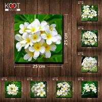 ราคา กรอบลอย ติดผนัง ภาพดอกไม้ ดอกลีลาวดี (ขนาด 25x25 ซม.) (3619352007)