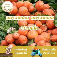 ราคา เมล็ดพันธุ์ แครอทกลม แครอทบอล 70 เมล็ด Parisian Carrot Seed เมล็ดพันธุ์แท้100% นำเข้าจากต่างประเทศ ปลูกผัก สวนครัว ถูก (24381971489)