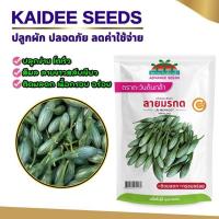 ราคา เมล็ดมะเขือเปราะ ลายมรกต ตราตะวันต้นกล้า ขนาด15กรัม เมล็ดมะเขือเปราะลูกรักบี้ มะเขือตอปิโด (41922940123)