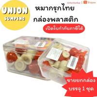 ราคา (USP)แถมกล่องและตารางหมากรุก หมากรุกไทย รุ่นพลาสติกเงา แถมกล่องพลาสติก ตัวหมากรุกไทย (1ชุด) (16897271257)