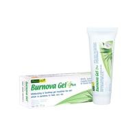 ราคา Burnova Gel Plus เจลสูตรว่านหางจระเข้ผสมสารสกัดบัวบกและแตงกวา (70 กรัม) (43481164575)
