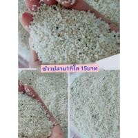ราคา ข้าวปลายหรทอปลายข้าวพร้อมส่ง (5954136346)