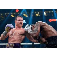 ราคา โปสเตอร์Canelo Alvarez คาเนโล อัลวาเรซ นักมวย Poster ร้านคนไทย รับทำโปสเตอร์ รับทำกรอบตามขนาด (25184763379)
