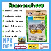 ราคา เจียไต๋ ฟักทอง ทองคำ443 หมดอายุ 12/2569 จำนวน 10 เมล็ด/ซอง (43974106037)