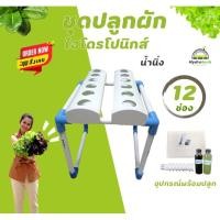ราคา ชุดปลูกผักไฮโดรโปนิกส์ น้ำนิ่ง รุ่น12ช่อง (15472193906)