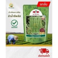 ราคา ยกลัง มี 30 ถุงถั่วฝักยาว “ลำน้ำชีพลัส” ขนาด 500 g. (43625499075)
