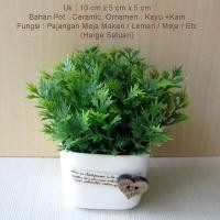 ราคา ใบโพ้งโชว์หญ้า+กระถางเซรามิค พิมพ์1 (28287928979)