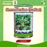 ราคา ผักกาดเขียวน้อย ผักกาดเขียวน้อย (ใบสร้อย) เมล็ดพันธุ์ผักกาดเขียว ตราสิงห์โต ขนาด 500 กรัม (7626438865)