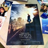 ราคา โปสเตอร์หนัง Fantastic Beasts สัตว์มหัศจรรย์และถิ่นที่อยู่ แฮรี่พอตเตอร์ Harry Potter โปสเตอร์ติดผนัง โปสเตอร์วินเทจ (42707451538)