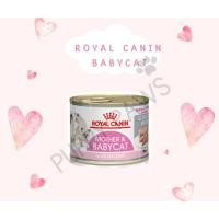ราคา Royal Canin Mother & Baby Cat อาหารกระป๋องสำหรับแม่และลูกแมว อาหารเปียก อาหารแมว รอยัล คานิน (16803308695)